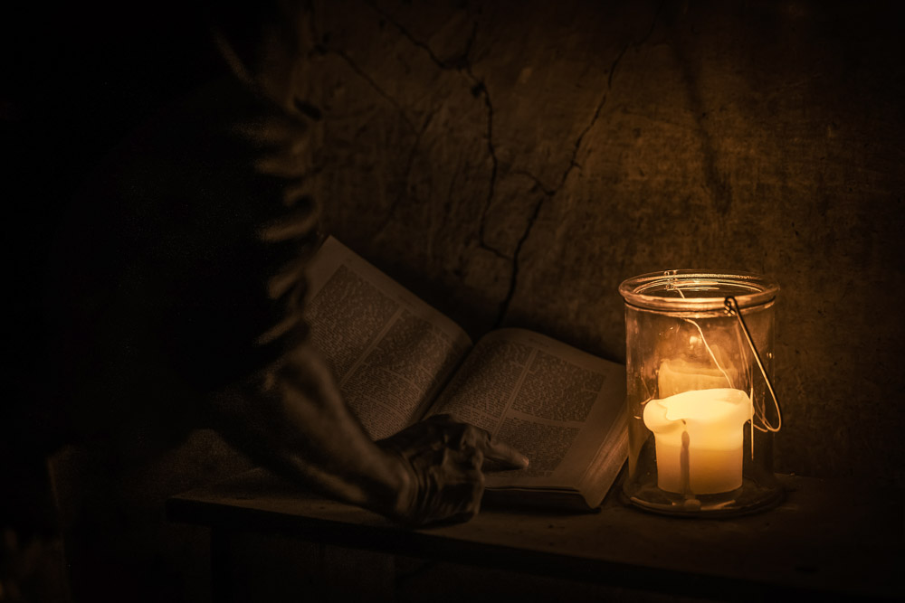 Monatsbilder November 2023